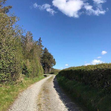 Chic Cottage Near Elan Valley And Builth Wells Llanwrthwl Exterior photo